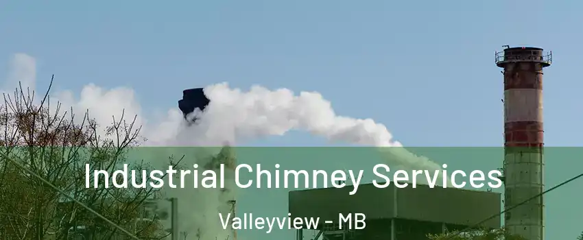  Industrial Chimney Services Valleyview - MB
