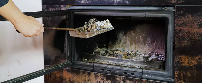 Wood Burning Chimney Odor Removal in Brandon, Manitoba