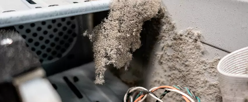 Clogged Dryer Vent Lint Cleaning in Brandon, Manitoba