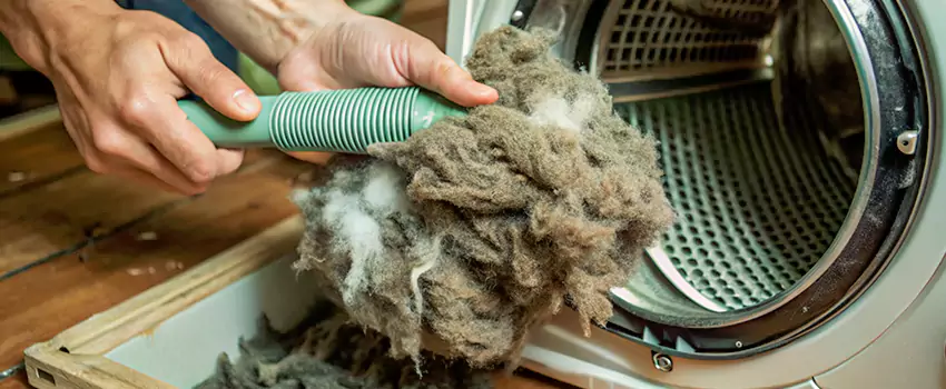 Best Dryer Lint Removal Company in Brandon, Manitoba