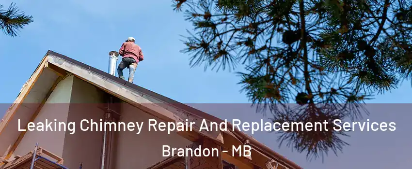  Leaking Chimney Repair And Replacement Services Brandon - MB