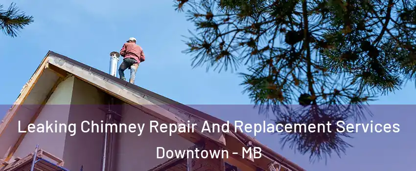  Leaking Chimney Repair And Replacement Services Downtown - MB