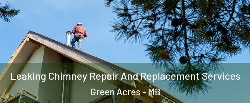  Leaking Chimney Repair And Replacement Services Green Acres - MB