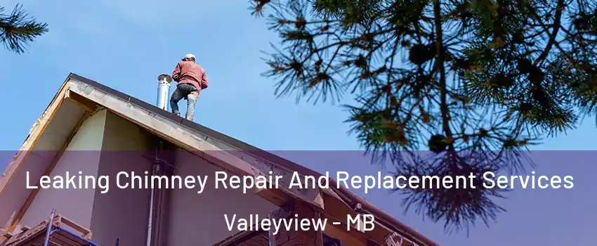  Leaking Chimney Repair And Replacement Services Valleyview - MB