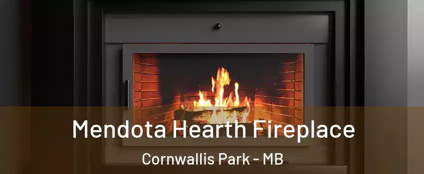  Mendota Hearth Fireplace Cornwallis Park - MB
