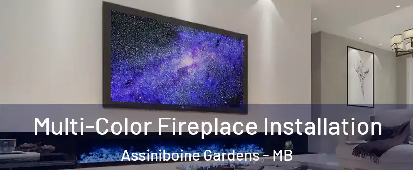  Multi-Color Fireplace Installation Assiniboine Gardens - MB