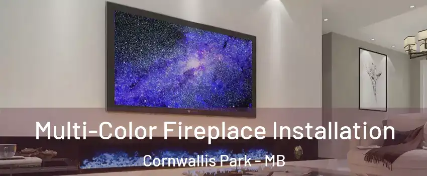 Multi-Color Fireplace Installation Cornwallis Park - MB
