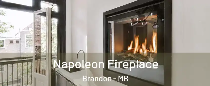  Napoleon Fireplace Brandon - MB