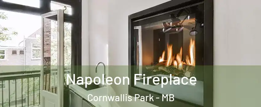  Napoleon Fireplace Cornwallis Park - MB