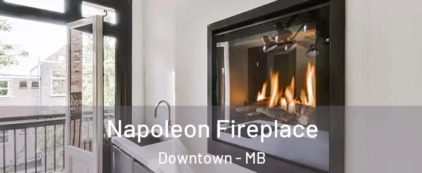  Napoleon Fireplace Downtown - MB