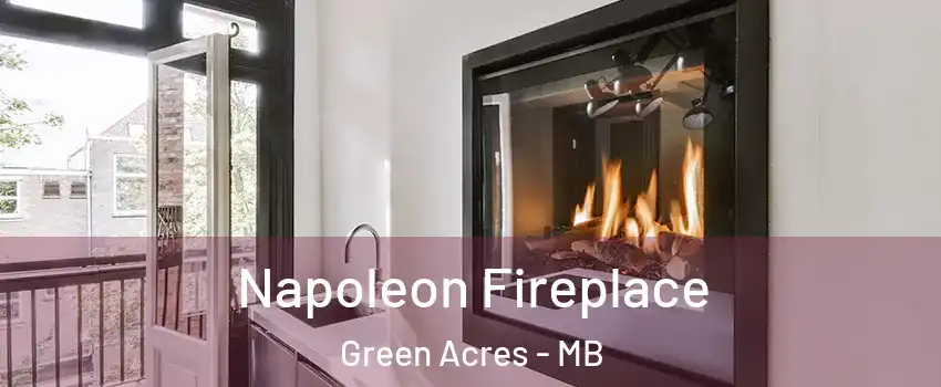  Napoleon Fireplace Green Acres - MB