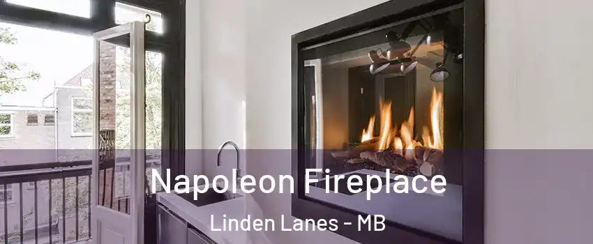  Napoleon Fireplace Linden Lanes - MB