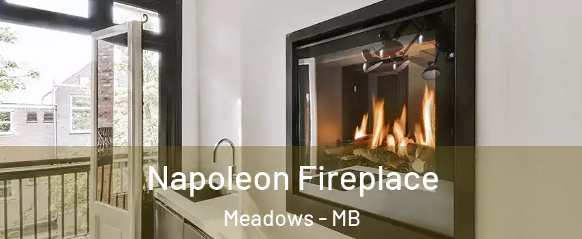  Napoleon Fireplace Meadows - MB