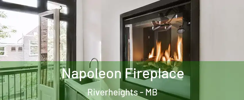  Napoleon Fireplace Riverheights - MB