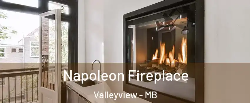  Napoleon Fireplace Valleyview - MB