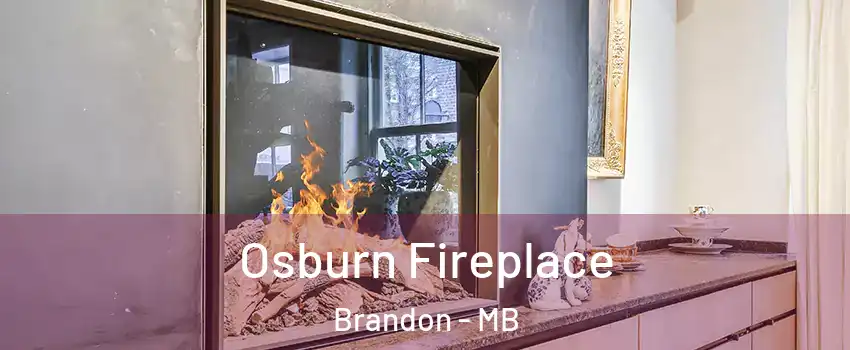  Osburn Fireplace Brandon - MB