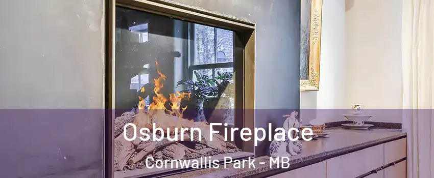  Osburn Fireplace Cornwallis Park - MB