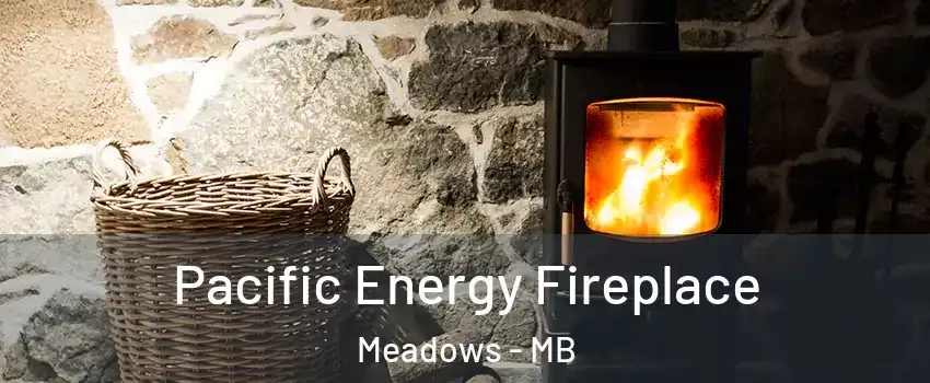  Pacific Energy Fireplace Meadows - MB