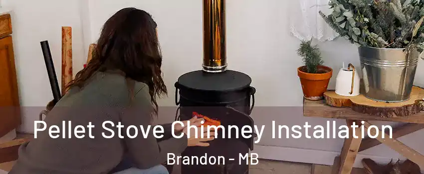  Pellet Stove Chimney Installation Brandon - MB