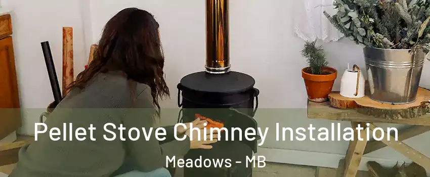  Pellet Stove Chimney Installation Meadows - MB