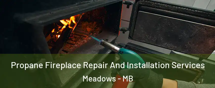  Propane Fireplace Repair And Installation Services Meadows - MB