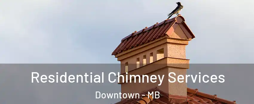  Residential Chimney Services Downtown - MB