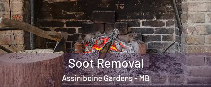  Soot Removal Assiniboine Gardens - MB