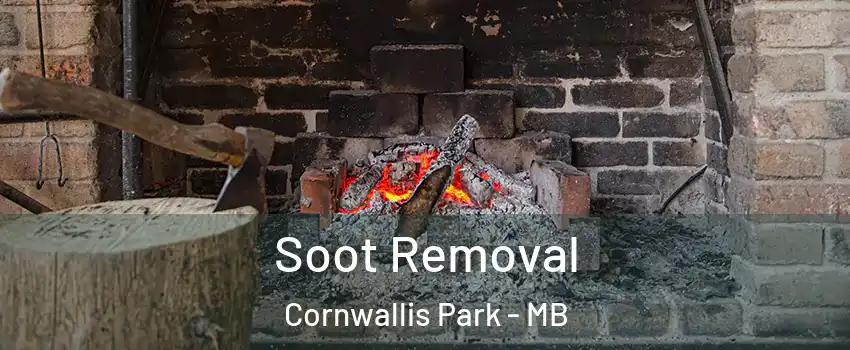  Soot Removal Cornwallis Park - MB