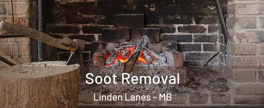  Soot Removal Linden Lanes - MB