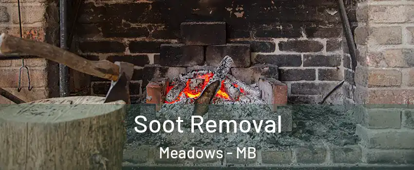 Soot Removal Meadows - MB