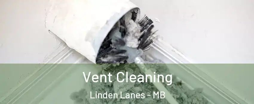  Vent Cleaning Linden Lanes - MB