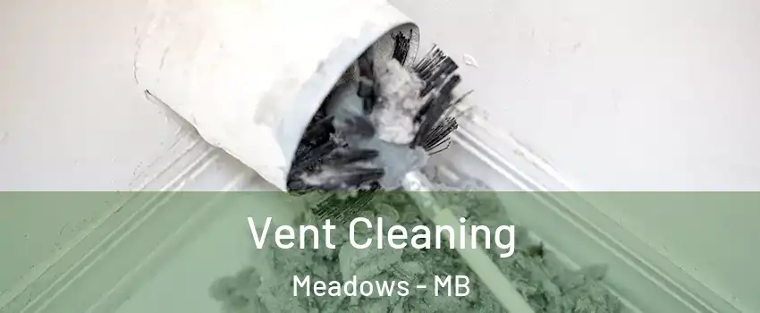  Vent Cleaning Meadows - MB