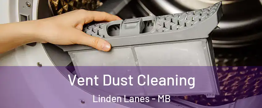  Vent Dust Cleaning Linden Lanes - MB