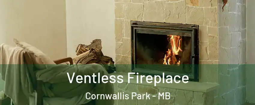  Ventless Fireplace Cornwallis Park - MB