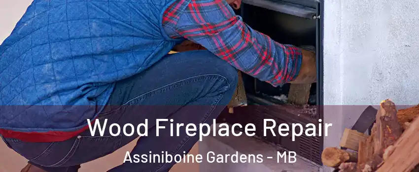  Wood Fireplace Repair Assiniboine Gardens - MB