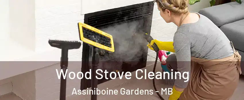  Wood Stove Cleaning Assiniboine Gardens - MB