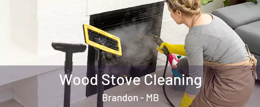  Wood Stove Cleaning Brandon - MB