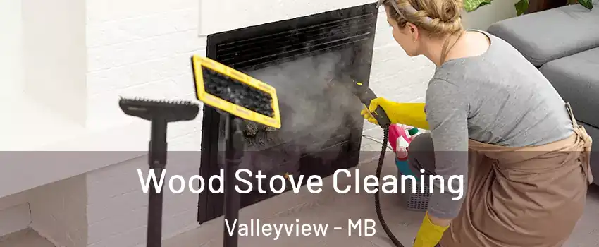  Wood Stove Cleaning Valleyview - MB